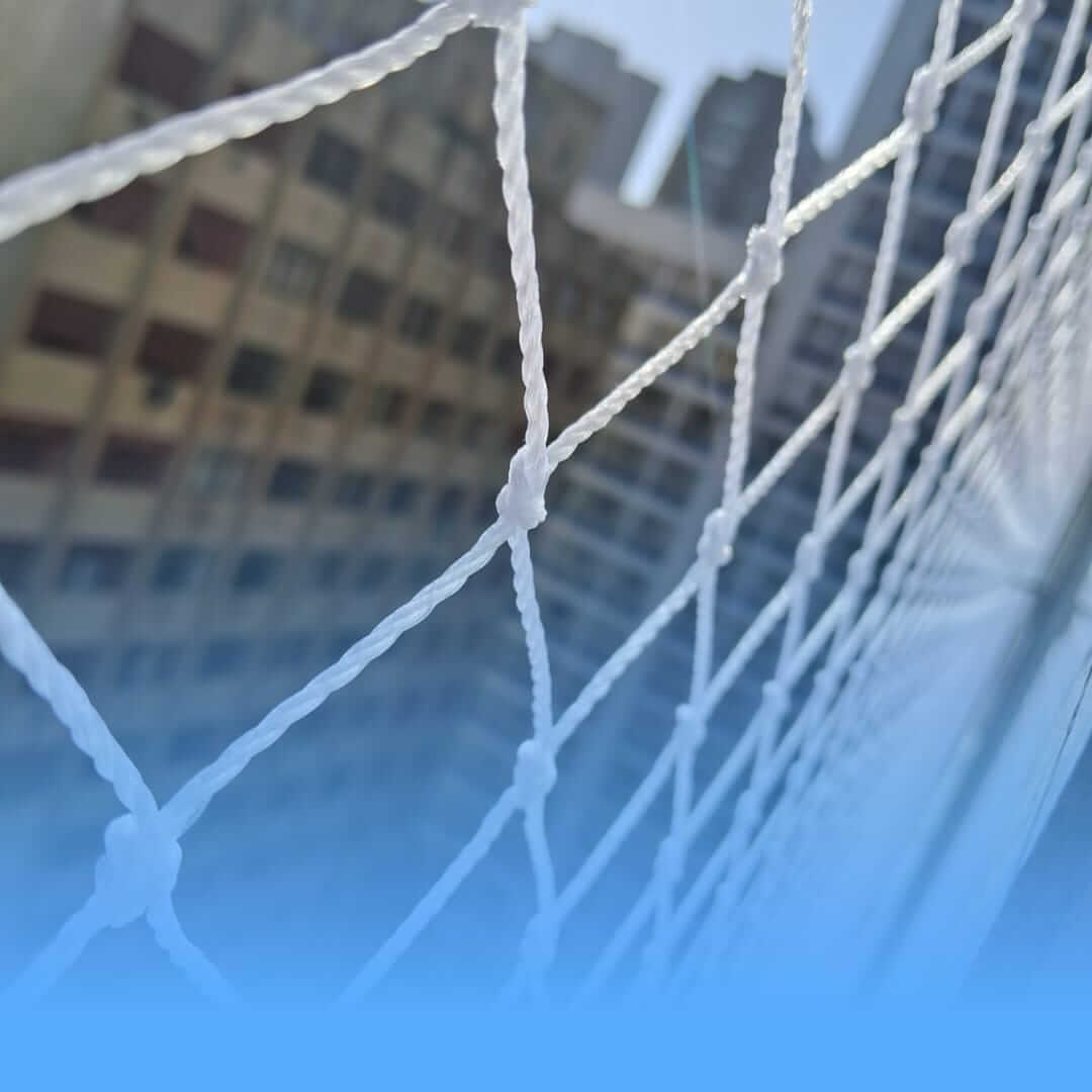 redes proteção santos